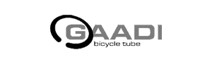 Gaadi