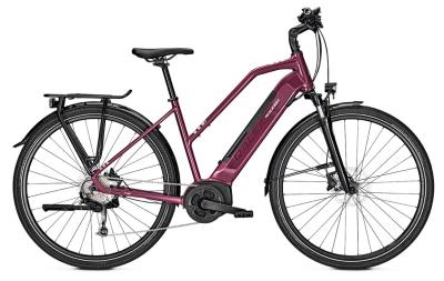 Raleigh Kent 9 cassis glossy 2022 - Damen-28