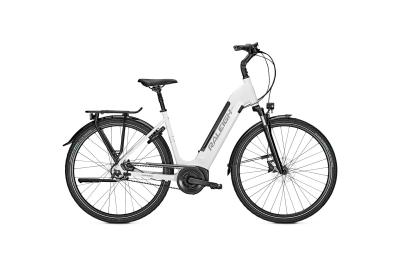 Raleigh Bristol Premium white glossy 2022 - Unisex-28