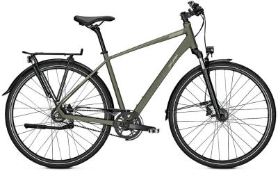 Raleigh Rushhour 6.5 urbangreen matt 2022 - Herren-28