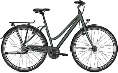 Raleigh Devon 8 techgreen matt 2022 - Damen-28