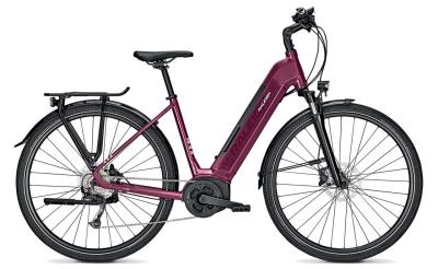 Raleigh Kent 9 cassis glossy 2022 - Unisex-28