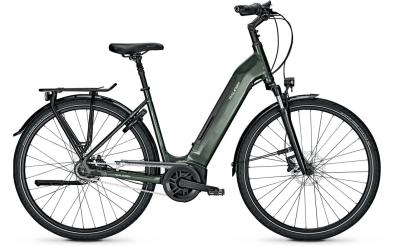 Raleigh Bristol 8 deepgreen glossy 2022 - Unisex-28