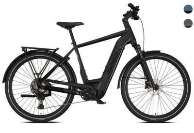 Ebike Trekking Pro X Diamant 50 750 Wh 