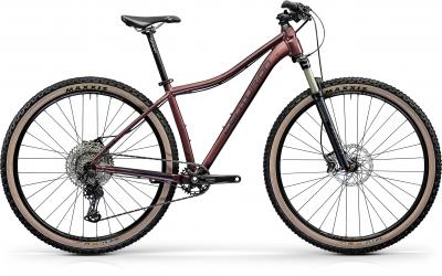 Centurion Backfire Fit Pro 800.29 merlot 2022 - 29