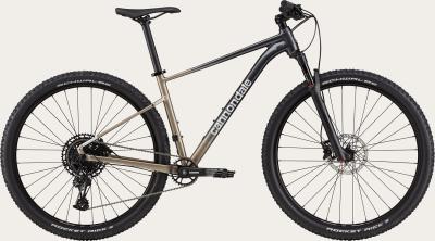 Cannondale Trail SL 1 Stealth Grey 2024 - 29