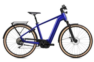 Flyer Gotour 7.12 XC Enzian Blue 2023 - 29