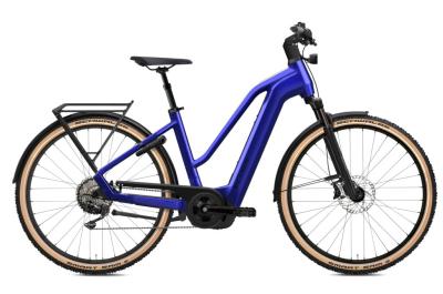 Flyer Gotour 7.12 XC Enzian Blue 2023 - 29