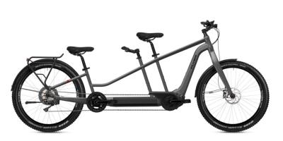 Flyer Tandem 7.70 Silver Dark Cool 2023 - 27,5