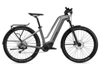 Flyer Goroc2 2.10 Cast Silver / Black Gloss 2022 - Damen-29