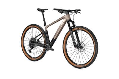 Focus RAVEN 8.9 Silver glossy / Carbon raw glossy 2024 - 29