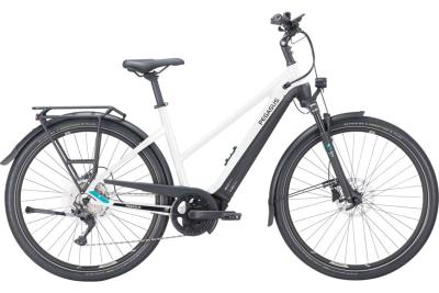 Pegasus Premio EVO 10 Lite metallic off white 2023 - 28