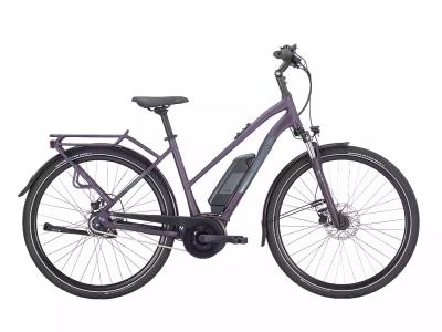 Pegasus Solero E8R Plus deep berry 2023 - 28