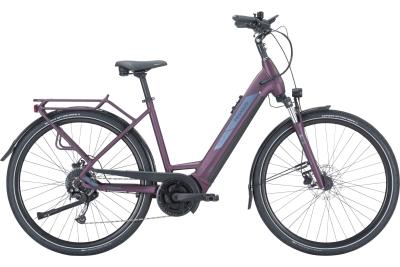 Pegasus Solero EVO 9 deep berry 2023 - 28