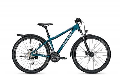 Raleigh DAYMAX navyblue matt 2021 - 27