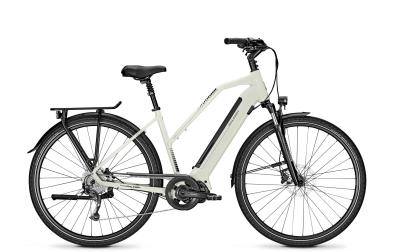 Raleigh SHEFFIELD 9 starwhite glossy 2020 - Trapez -  