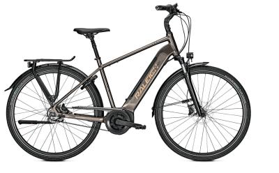 Raleigh Bristol Premium crystalgrey glossy 2022 - Herren-28