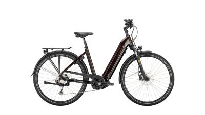 Victoria eTrekking 12.8 crispy brown 2022 - Damen-28