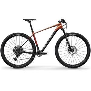 Centurion Backfire Carbon 3000 carbon / sunset 2023 - 29