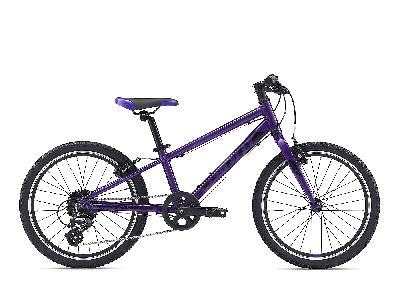 Giant ARX 20 Purple  2021 - 20