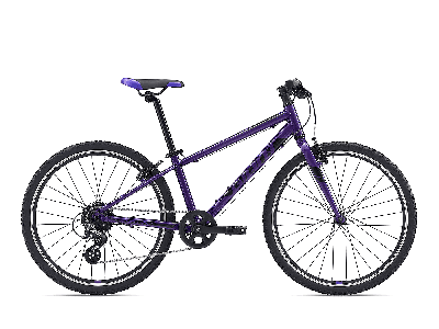 Giant ARX 24 Purple  2021 - 24