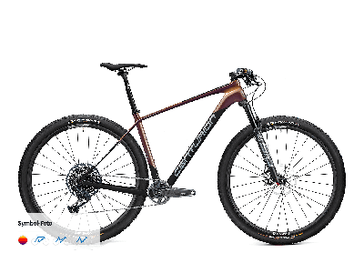 Centurion Backfire Carbon 3000 carbon / sunset 2022 - Unisex-29