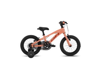 BH EXPERT JUNIOR 14 ORANGE-ORANGE-ORANGE 2024 - 14