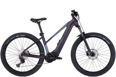 Bulls Aminga EVA 2 deep berry matt 2022 - 27,5