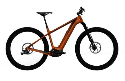 Cannondale Trail Neo 1 Saber 2022 