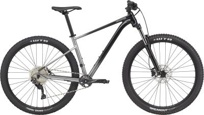 Cannondale Trail SL 4 Grey 2021 