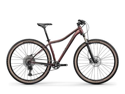 Centurion Backfire Fit Pro 800.29 merlot 2023 - 29