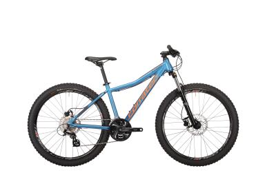 Corratec X-Vert Rock Team Blau/Orange 2023 - 26