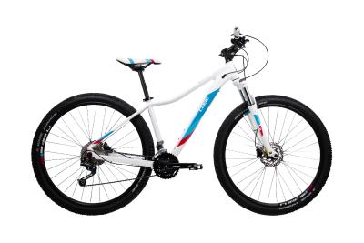 Cube Access WS Pro white´n´blue 2019 - MTB 29 -  