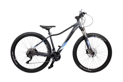 Cube Access WS Race iridium´n´blue 2019 - MTB 29 -  