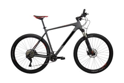 Cube Reaction C:62 grey´n´red 2019 - MTB 29 -  