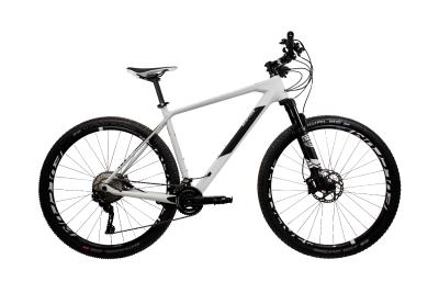 Cube Reaction C:62 SL grey´n´black 2019 - MTB 29 -  