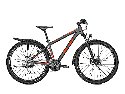 Raleigh DAYMAX jetgrey matt 2021 - 27