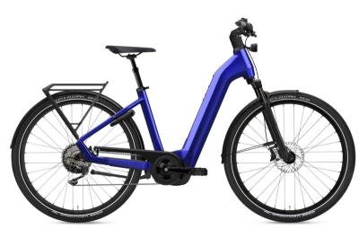 Flyer Gotour 7.10 ABS Enzian Blue Gloss 2024 - 28