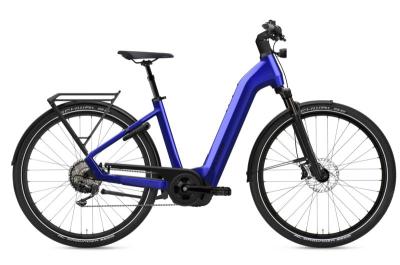 Flyer Gotour 7.10 ABS Enzian Blue Gloss 2024 - 28