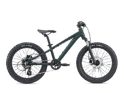 Giant STP 20 FS Trekking Green 2022 - Kinder-20