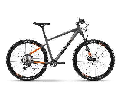 Haibike SEET 10 Titan / Lava Matt  2021 - 29