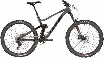 Lapierre Zesty TR 5.9 grau 2022 - 29