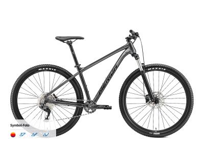 Merida BIG.SEVEN 200 dark silver 2023 - 27,5