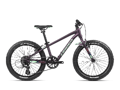 Orbea MX 20 Dirt Purple (Matt) - Mint (Gloss) 2023 - 20