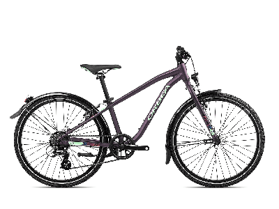 Orbea MX 24 Park Purple (Matt) - Mint (Gloss) 2023 - 24