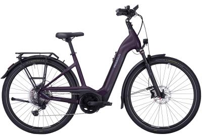 Pegasus Premio EVO 11 40 Years dark berry matt/black matt 2022 - 28