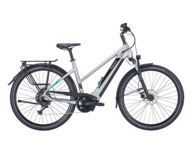 Pegasus Evo CX 750 Wh silver matt 2023 - 28