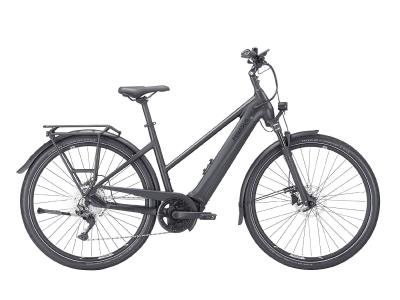 Pegasus Premio Evo 10 lite 750 Wh black-matt 2023 - 28