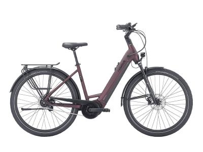 Pegasus Strong Evo 5R 750 Wh dark red matt / black matt 2023 - 28