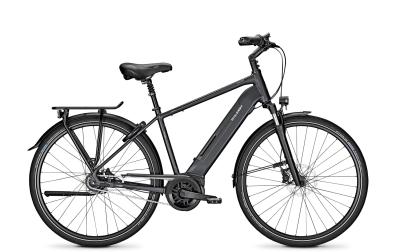 Raleigh BRISTOL 8 phantomgrey matt 2020 - Diamant FL -  